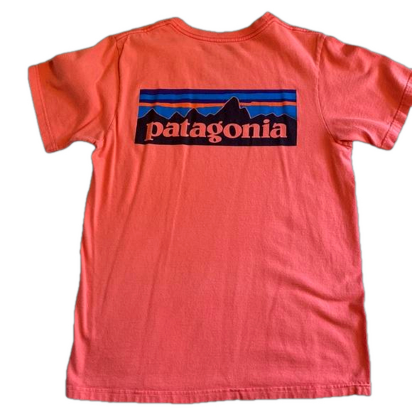 Mens S Patagonia - Picture 2 of 3